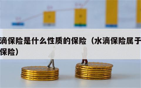 水滴保险是什么性质的保险（水滴保险属于什么保险）