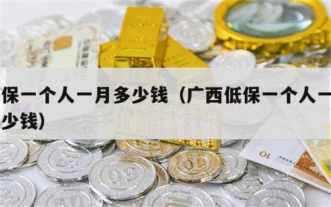 低保一个人一月多少钱（广西低保一个人一月多少钱）