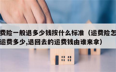 运费险一般退多少钱按什么标准（运费险怎么退运费多少,退回去的运费钱由谁来拿）