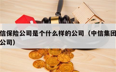 中信保险公司是个什么样的公司（中信集团保险公司）