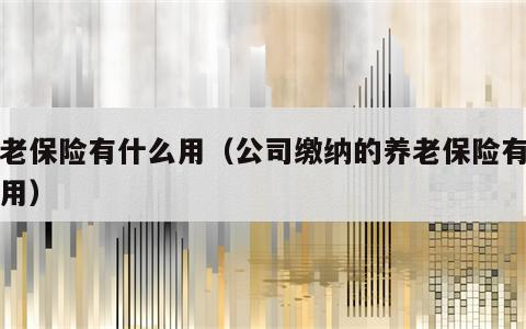 养老保险有什么用（公司缴纳的养老保险有什么用）