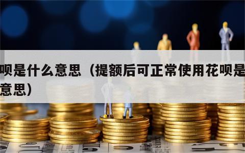 花呗是什么意思（提额后可正常使用花呗是什么意思）