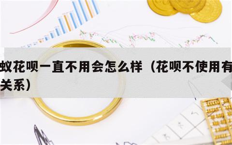 蚂蚁花呗一直不用会怎么样（花呗不使用有没有关系）