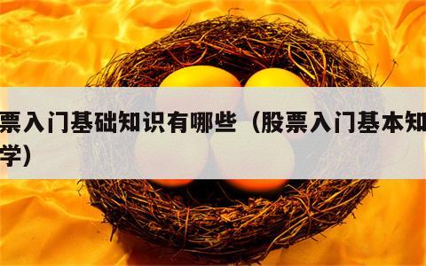 股票入门基础知识有哪些（股票入门基本知识教学）
