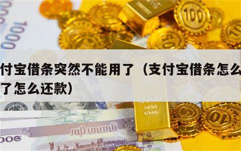 支付宝借条突然不能用了（支付宝借条怎么没有了怎么还款）