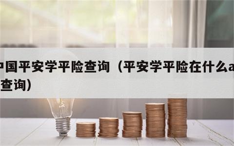 中国平安学平险查询（平安学平险在什么app查询）