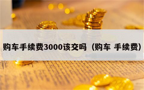 购车手续费3000该交吗（购车 手续费）