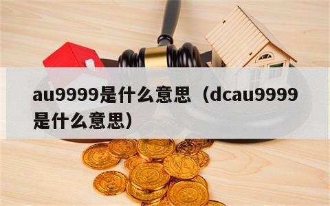 au9999是什么意思（dcau9999是什么意思）