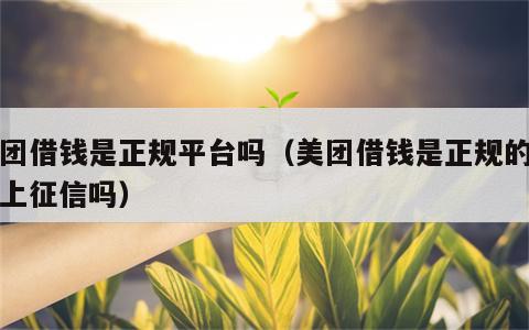 美团借钱是正规平台吗（美团借钱是正规的吗会上征信吗）
