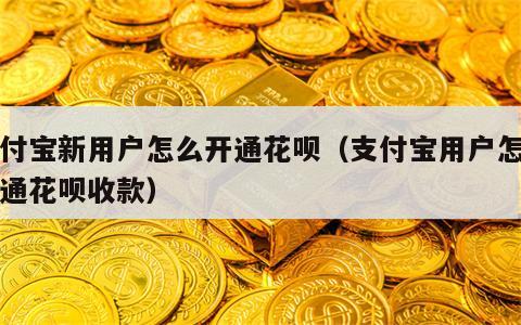 支付宝新用户怎么开通花呗（支付宝用户怎么开通花呗收款）