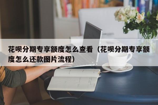 花呗分期专享额度怎么查看（花呗分期专享额度怎么还款图片流程）