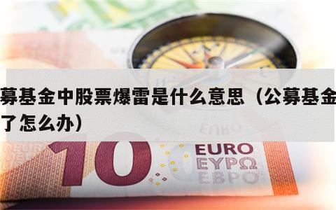 公募基金中股票爆雷是什么意思（公募基金爆雷了怎么办）
