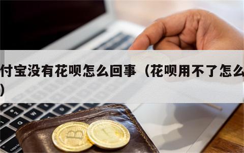 支付宝没有花呗怎么回事（花呗用不了怎么回事）