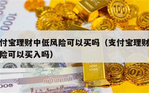 支付宝理财中低风险可以买吗（支付宝理财低风险可以买入吗）