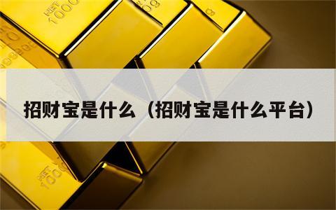 招财宝是什么（招财宝是什么平台）