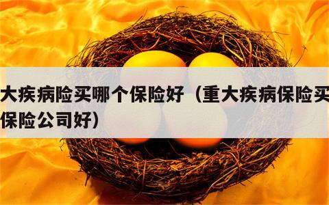 重大疾病险买哪个保险好（重大疾病保险买哪个保险公司好）
