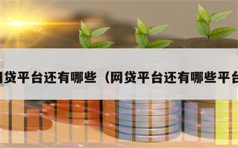 网贷平台还有哪些（网贷平台还有哪些平台）