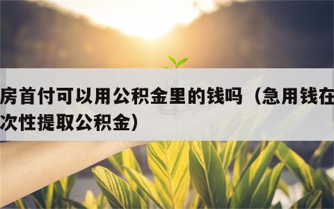 买房首付可以用公积金里的钱吗（急用钱在职一次性提取公积金）
