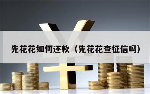 先花花如何还款（先花花查征信吗）