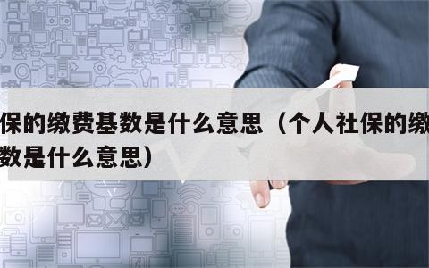 社保的缴费基数是什么意思（个人社保的缴费基数是什么意思）