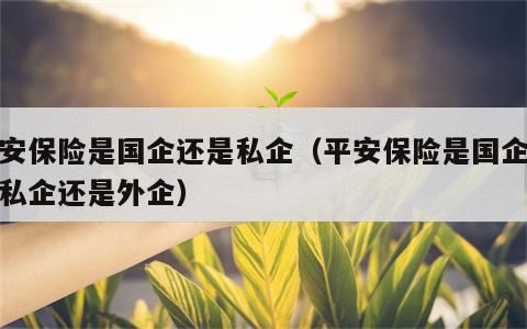 平安保险是国企还是私企（平安保险是国企还是私企还是外企）