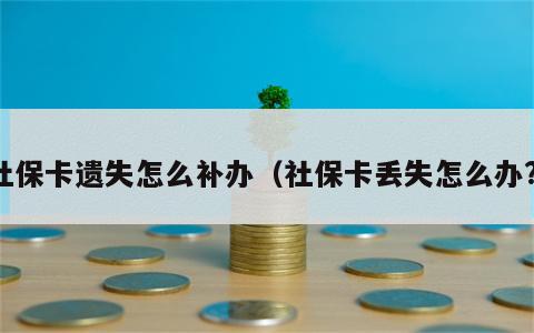 社保卡遗失怎么补办（社保卡丢失怎么办?）