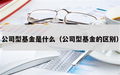 公司型基金是什么（公司型基金的区别）