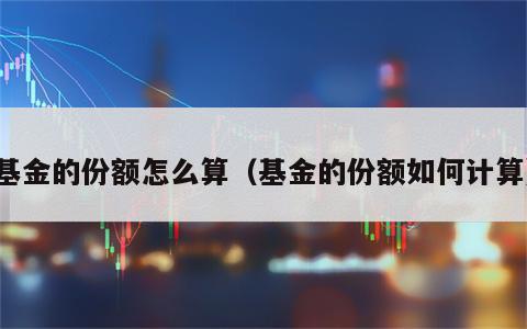 基金的份额怎么算（基金的份额如何计算）