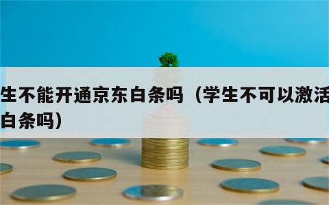 学生不能开通京东白条吗（学生不可以激活京东白条吗）