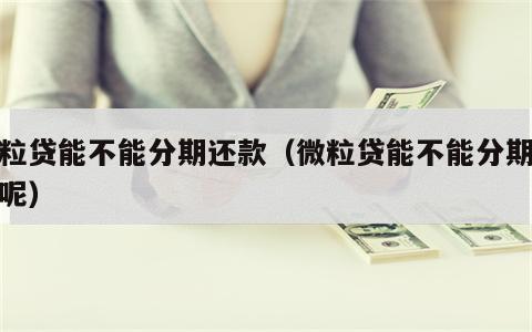 微粒贷能不能分期还款（微粒贷能不能分期还款呢）