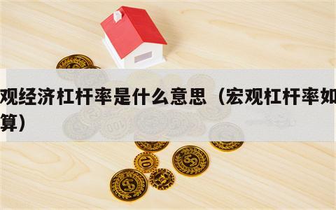 宏观经济杠杆率是什么意思（宏观杠杆率如何计算）