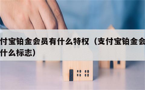支付宝铂金会员有什么特权（支付宝铂金会员是什么标志）