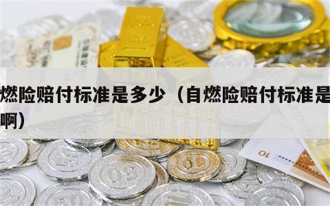 自燃险赔付标准是多少（自燃险赔付标准是多少啊）