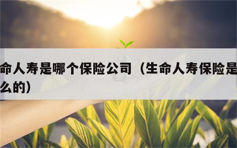 生命人寿是哪个保险公司（生命人寿保险是保什么的）