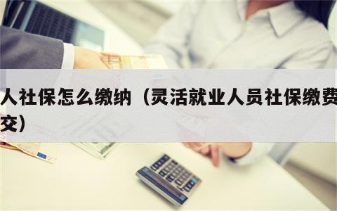 个人社保怎么缴纳（灵活就业人员社保缴费怎么交）