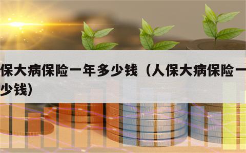 人保大病保险一年多少钱（人保大病保险一年多少钱）