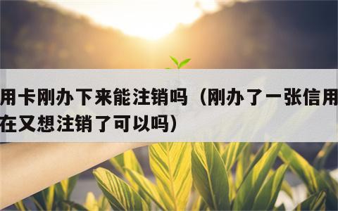 信用卡刚办下来能注销吗（刚办了一张信用卡现在又想注销了可以吗）