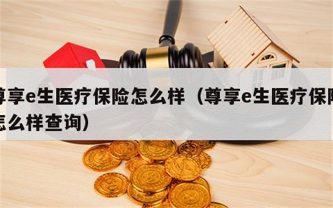 尊享e生医疗保险怎么样（尊享e生医疗保险怎么样查询）