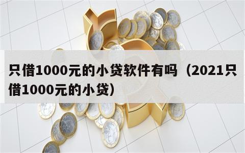 只借1000元的小贷软件有吗（2021只借1000元的小贷）