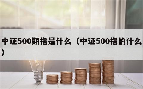 中证500期指是什么（中证500指的什么）