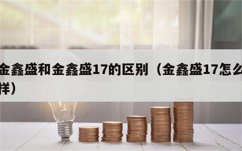 金鑫盛和金鑫盛17的区别（金鑫盛17怎么样）