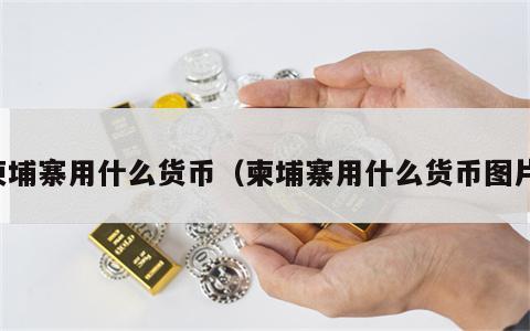 柬埔寨用什么货币（柬埔寨用什么货币图片）