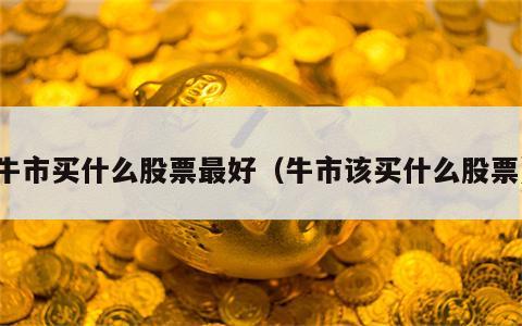牛市买什么股票最好（牛市该买什么股票）
