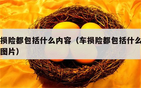车损险都包括什么内容（车损险都包括什么内容图片）