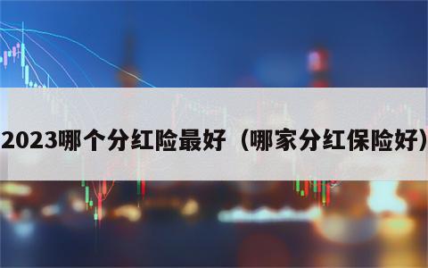 2023哪个分红险最好（哪家分红保险好）