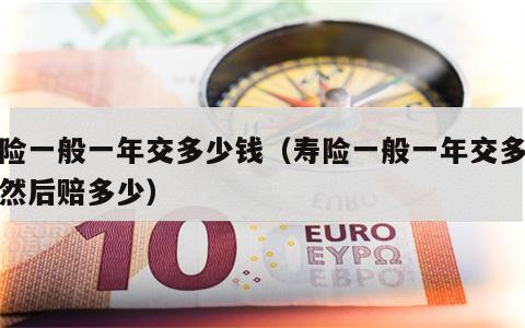 寿险一般一年交多少钱（寿险一般一年交多少钱然后赔多少）