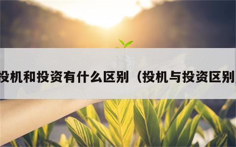 投机和投资有什么区别（投机与投资区别）