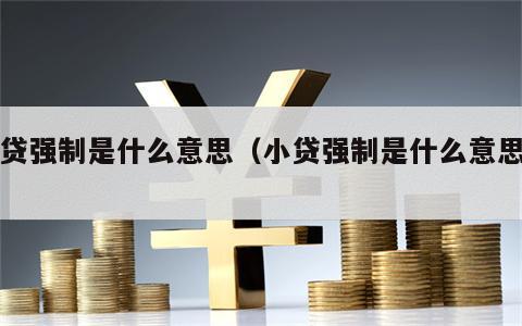 小贷强制是什么意思（小贷强制是什么意思呀）