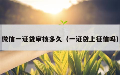 微信一证贷审核多久（一证贷上征信吗）