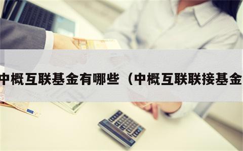 中概互联基金有哪些（中概互联联接基金）